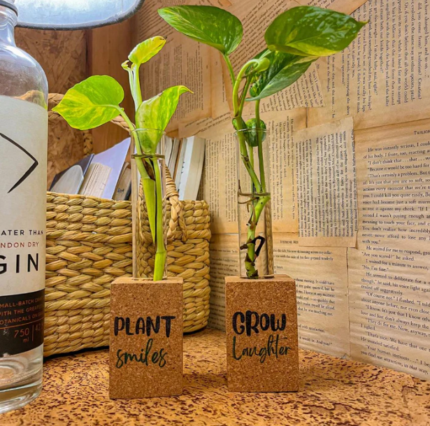 How to Style Your Living Room with Eco-Friendly Home Décor Accents