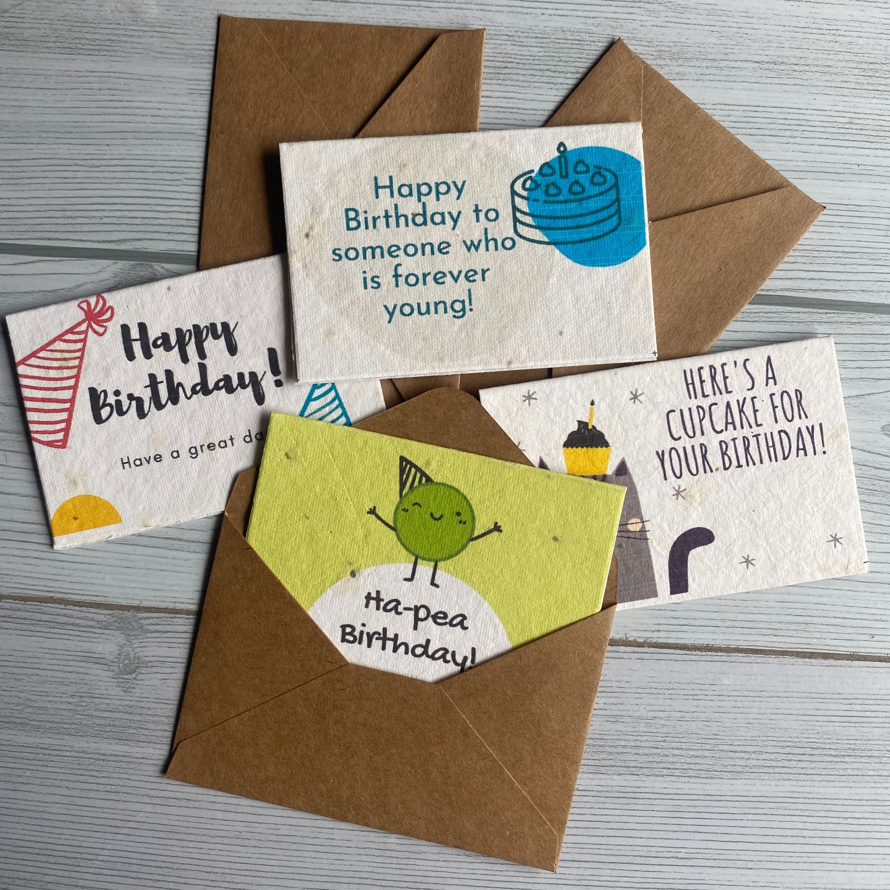 Seed Paper Birthday Cards with Envelopes (Set of 12)
