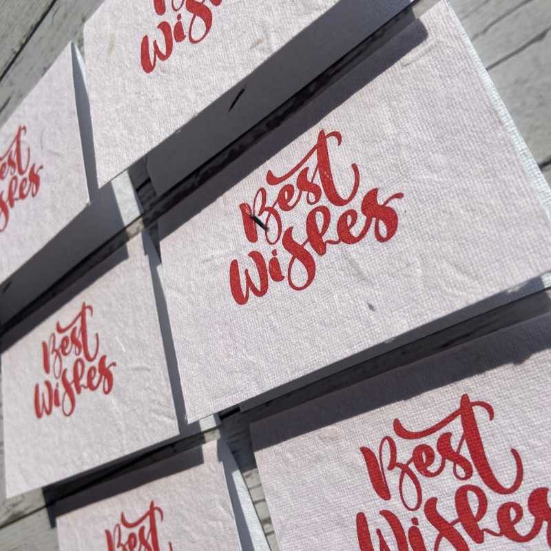 Best Wishes Plantable Cards With Envelopes (Set of 12)