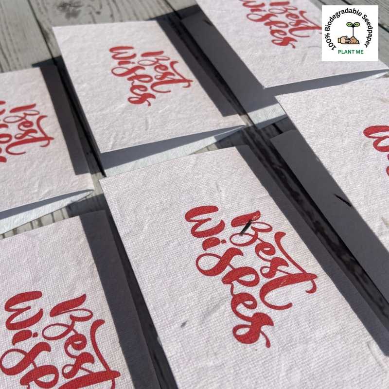 Best Wishes Plantable Cards With Envelopes (Set of 12)