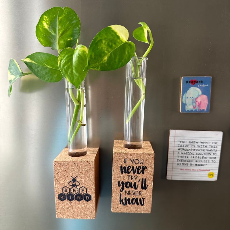 Cork Magnetic Planter ( Set of 2)