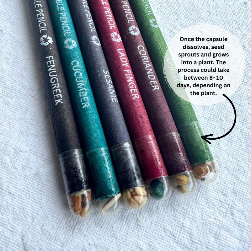 Plantable Seed Pencil With Paper Sleeve (Pack of 10)