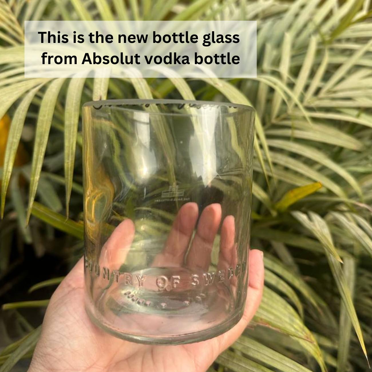 Eco friendly Absolut Bottle Serving Set