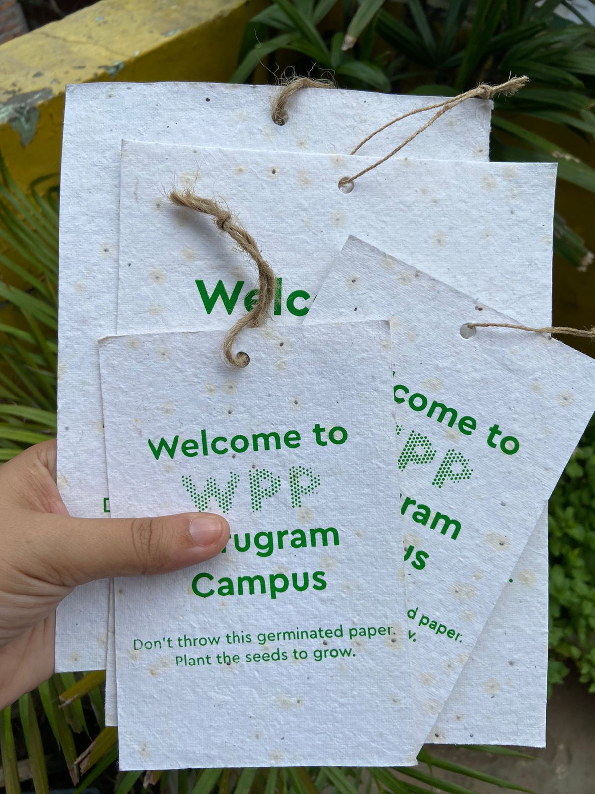 Customised Seed Paper Cards