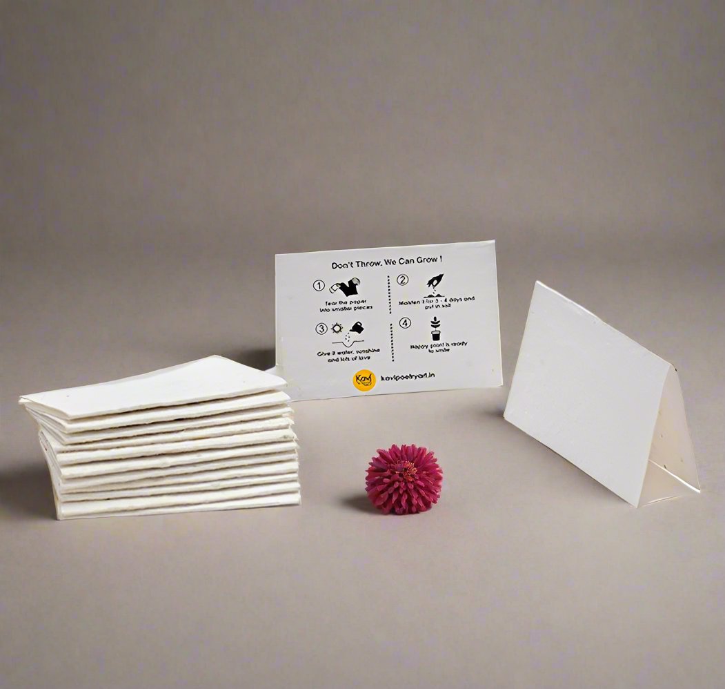 Plain Seed Paper DIY Cards with Envelopes (Set of 12)