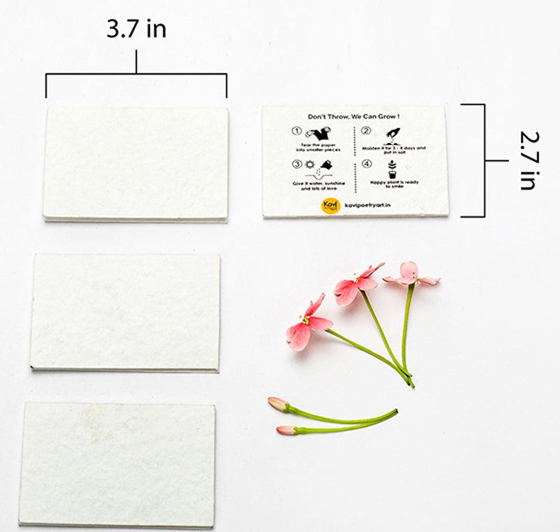 DIY Seed Paper Cards with Envelopes (Set of 25)