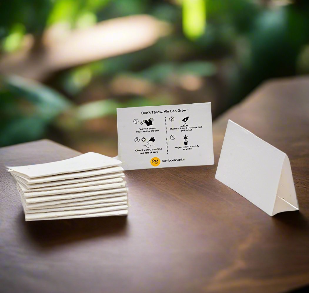 DIY Seed Paper Cards with Envelopes (Set of 50)