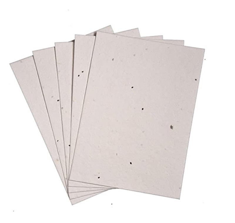 Kavi Basil Seed Paper (Pack of 20)