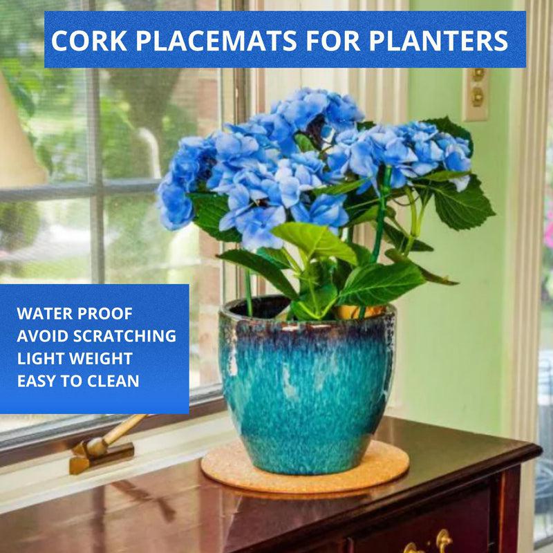 Kavi Multipurpose Natural Cork Mat (Set of 6 )