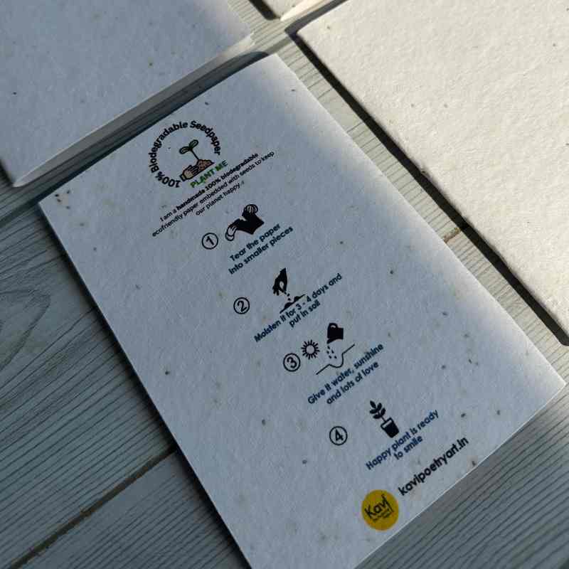 Plain Seed Paper Ecofriendly Cards with Envelopes (Set of 4)