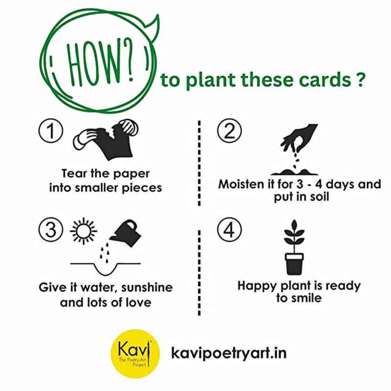 Plain Seed Paper Ecofriendly Cards with Envelopes (Set of 4)