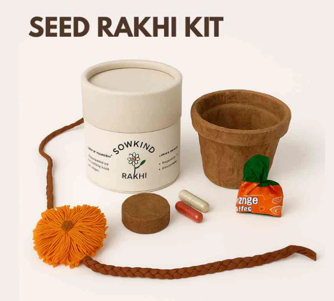 What Are Some Fun Virtual Raksha Bandhan Celebration Ideas for 2025?