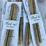 Plantable Set of 2 Seed Pens with Sleeve (Pack of 10)