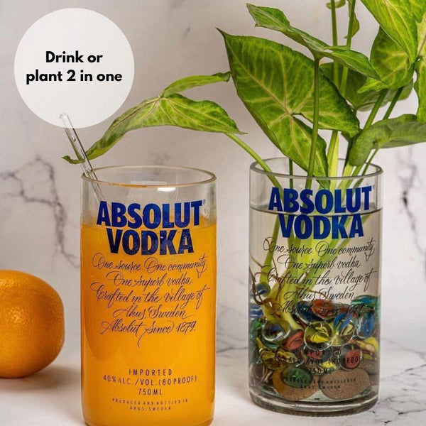 Kavi Upcycled Absolute Big Glass