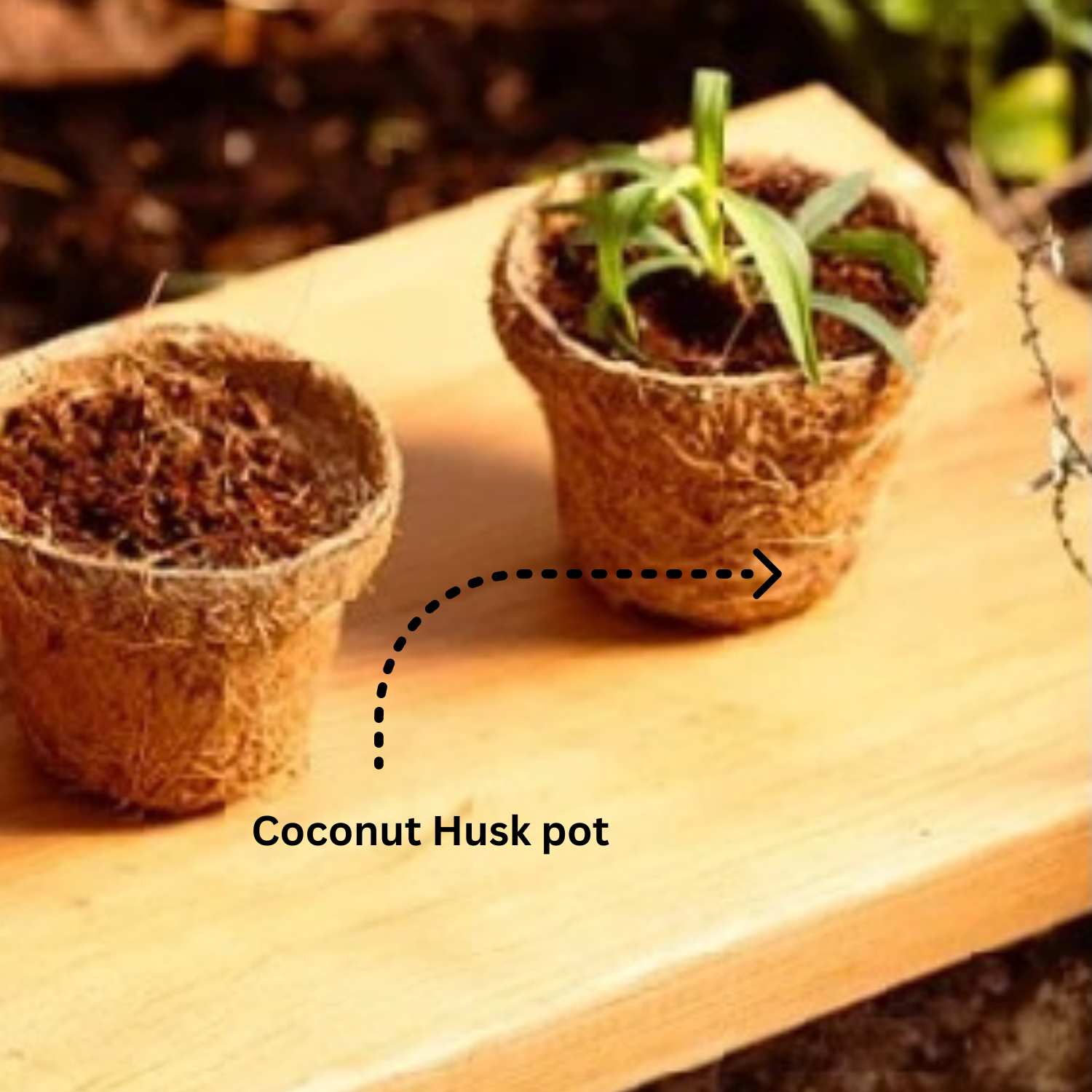 Seed paper Hamper KIt