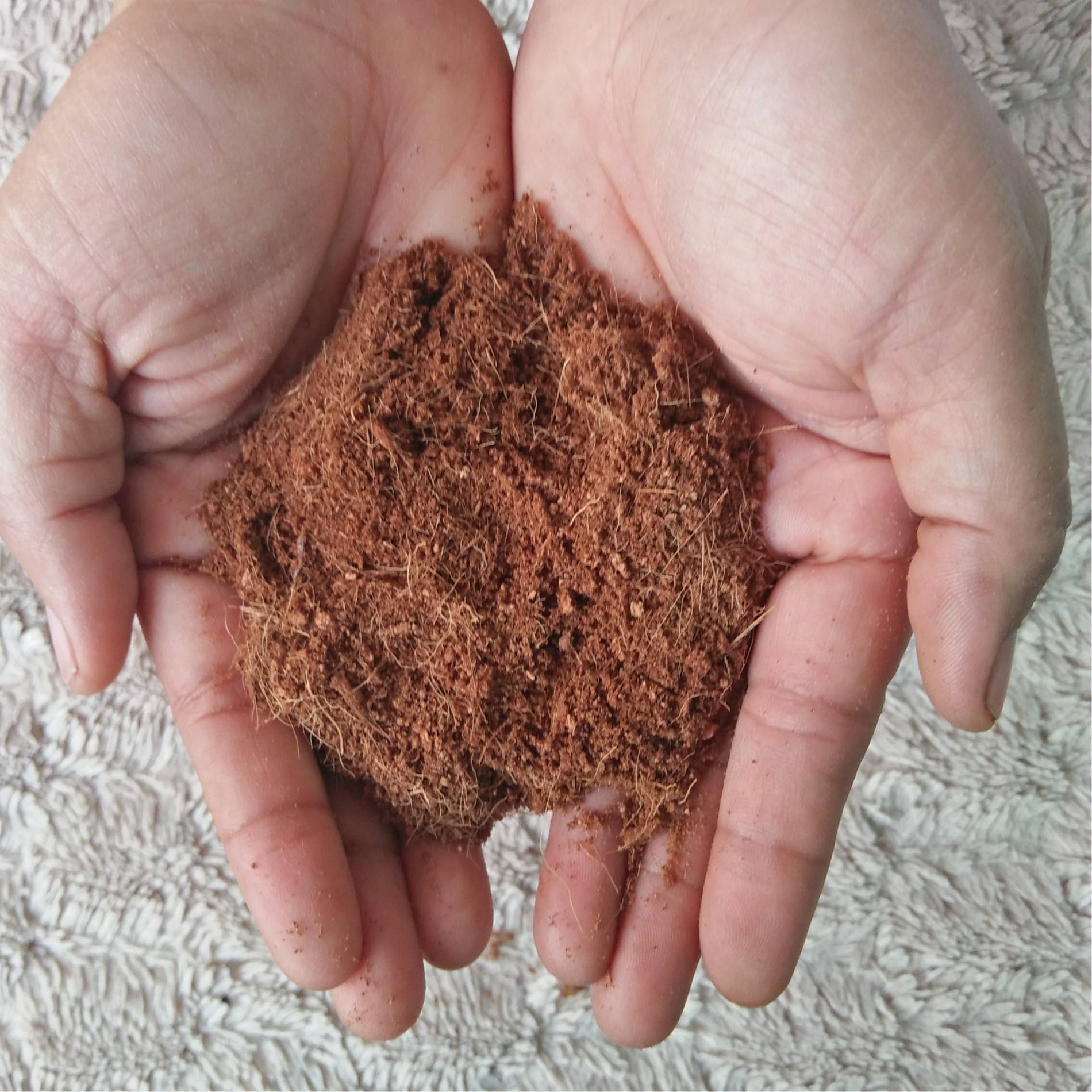 Cocopeat Disc | Coir disc for Potting Soil Mix
