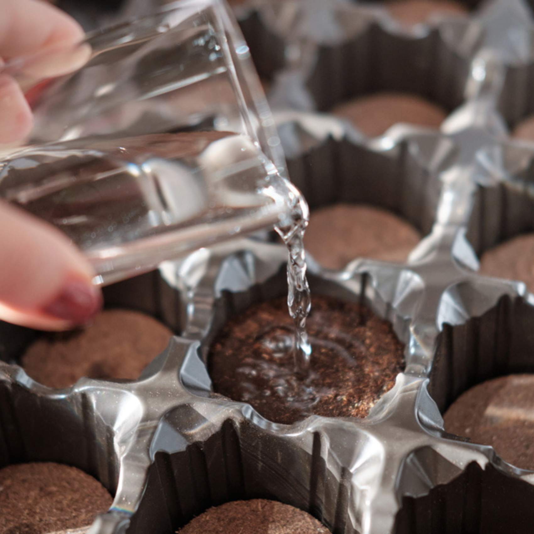 Cocopeat Disc | Coir disc for Potting Soil Mix