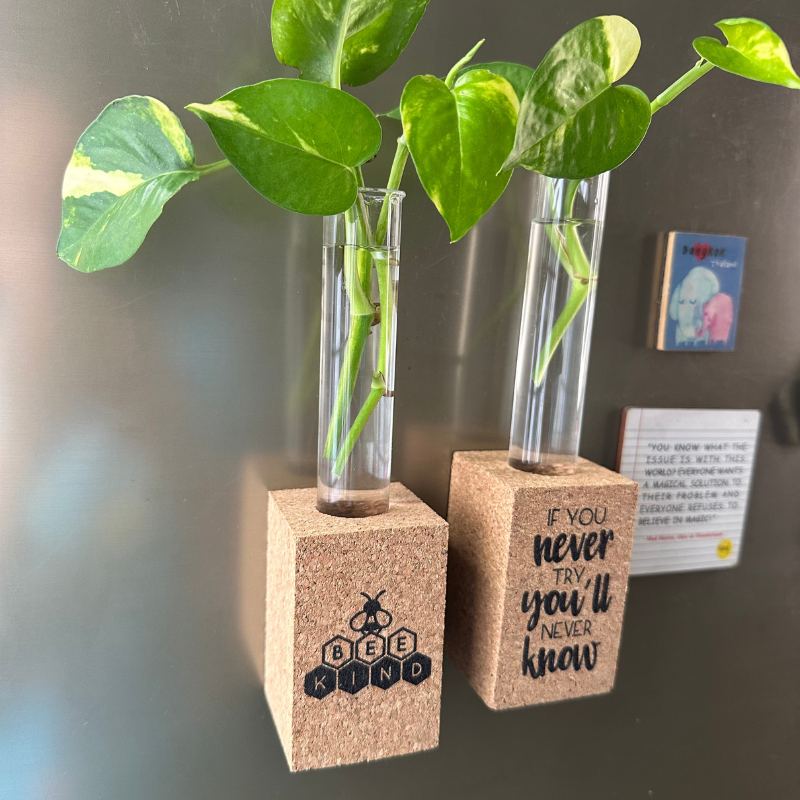 Cork Magnetic Planter ( Set of 2)