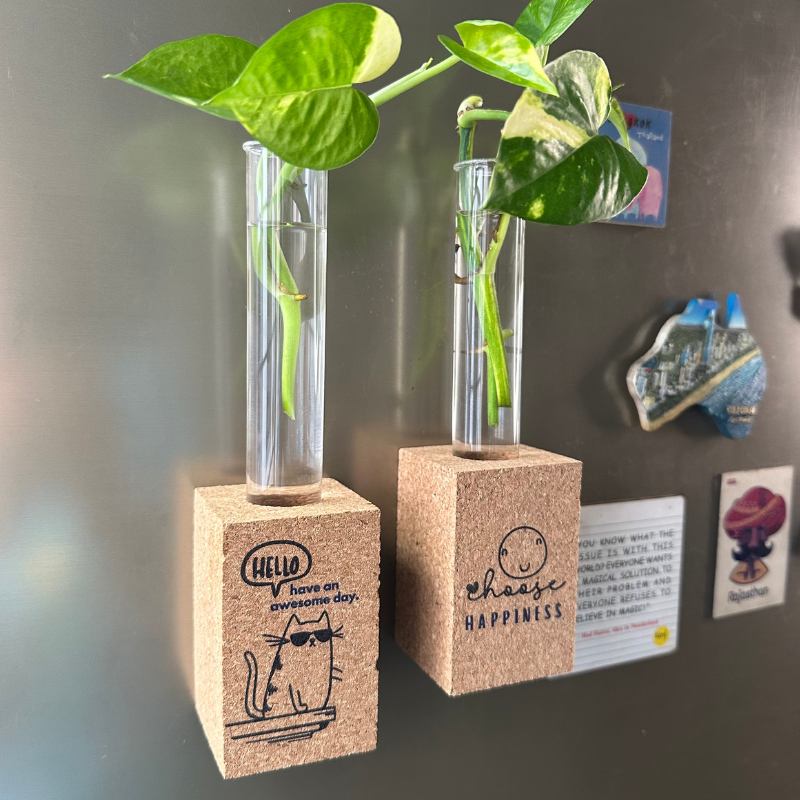 Cork Magnetic Planter (Set of 2)