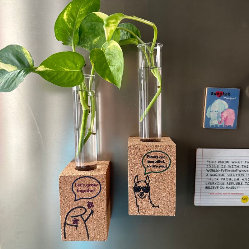 Cork Magnetic Planter (Set of 2)