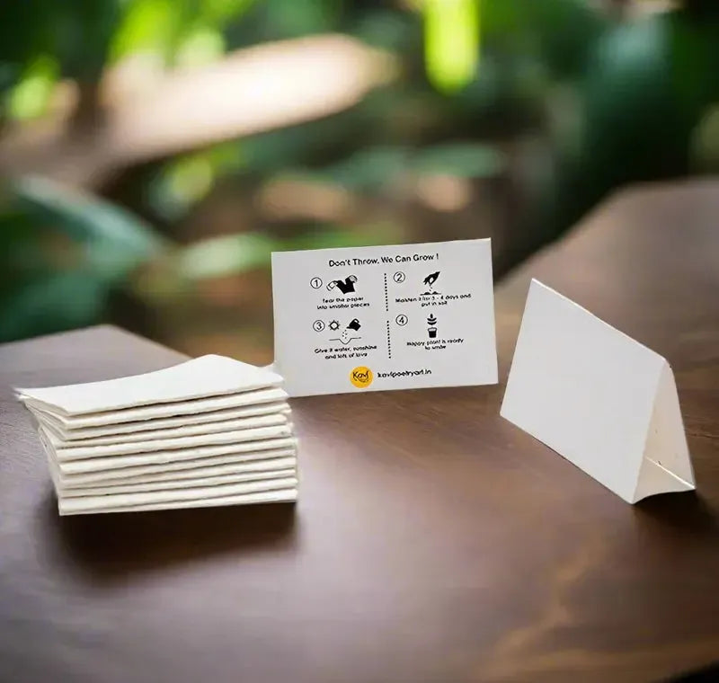 Plain Seed Paper DIY Cards with Envelopes