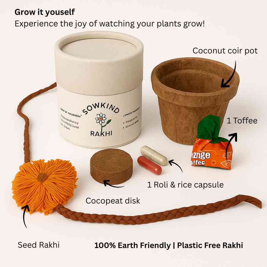 Plantable Seed Rakhi Kit ( Pack of 6 )
