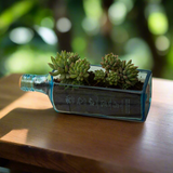 Sapphire Bottle Planter (Table Top)