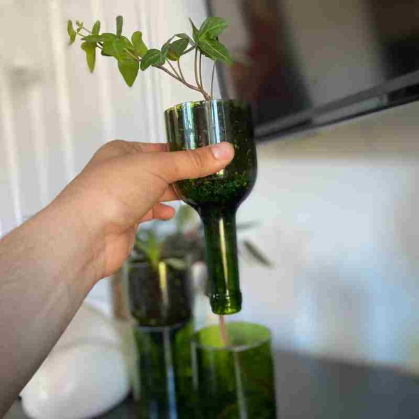 Self Watering Green Wine Bottle Planter