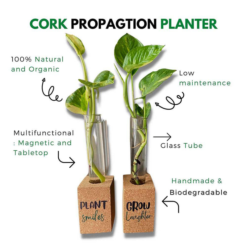 Cork Propagation Planter - Set of 2