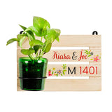 Customised Multicoloured Living Name Board With Vat69 Planter