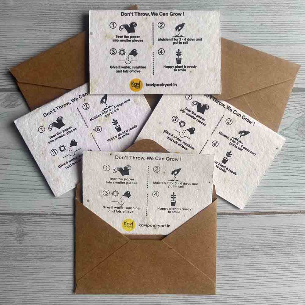 Plain Seed Paper DIY Cards with Envelopes (Set of 12)