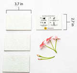 Plain Seed Paper DIY Cards with Envelopes (Set of 12)