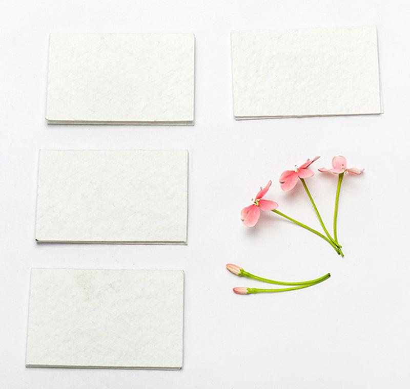 Plain Seed Paper DIY Cards with Envelopes (Set of 12)