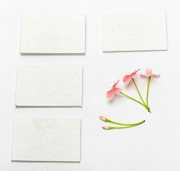 DIY Seed Paper Cards with Envelopes (Set of 25)