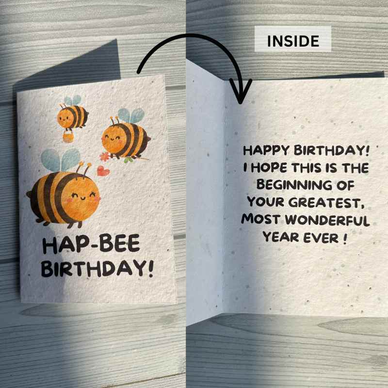 Seed Paper Birthday Cards A6 with Envelopes (Set of 4)