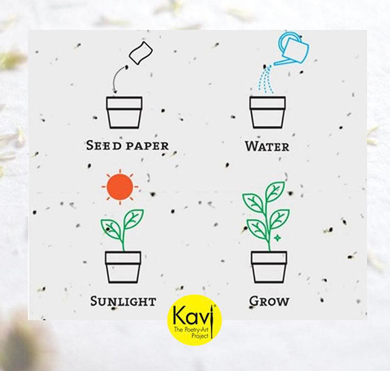 Kavi Basil Seed Paper (Pack of 10)