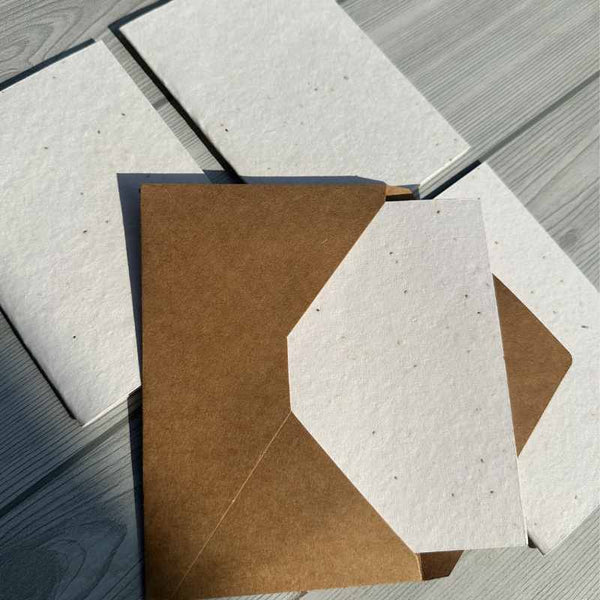 Plain Seed Paper Ecofriendly Cards with Envelopes (Set of 4)