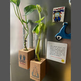Cork Magnetic Planter for Indoor Plants ( Set of 2 )