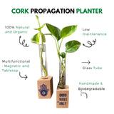 Propagation Planter Set (Set of 2)