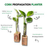 Propagation Planter Set (Set of 2)