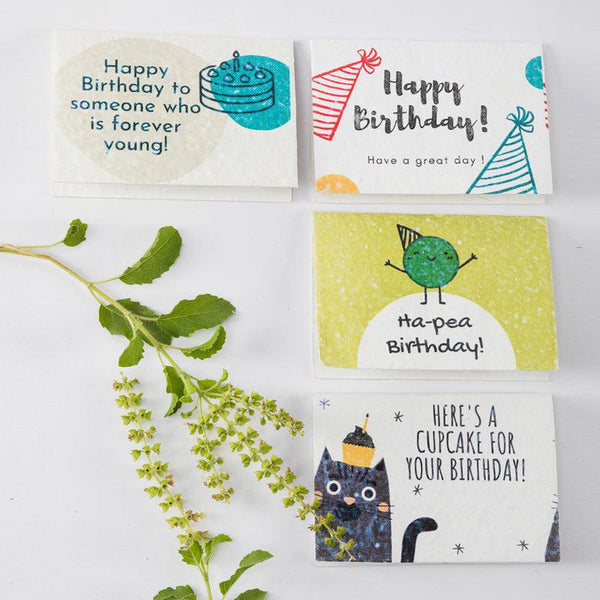 Seed Paper Birthday Cards with Envelopes (Set of 12)