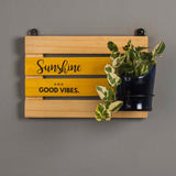 Sunshine Board with Antiquity Planter
