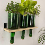 Wine Bottle Planters With Wooden Stand